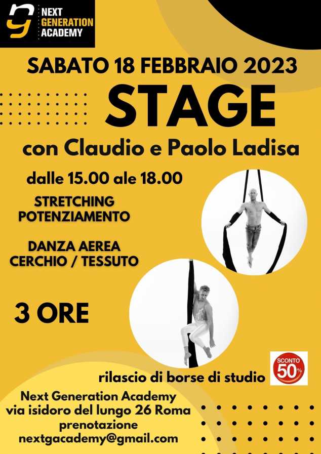 Stage di danza aerea con Claudio e Paolo Ladisa